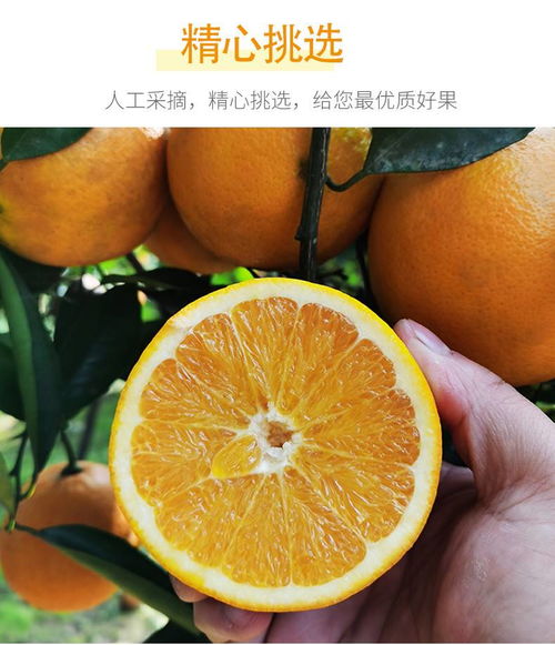 四川长虹脐橙 渠县甜橙的甜蜜滋味，健康生活中的鲜美选择