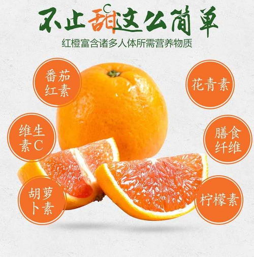 一苇农佳秭归脐橙血橙中华红 年货礼盒中的冬日温情