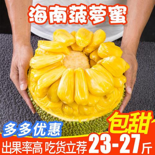 海南三亚菠萝蜜 当季黄肉木波罗蜜的批发与一件代发指南