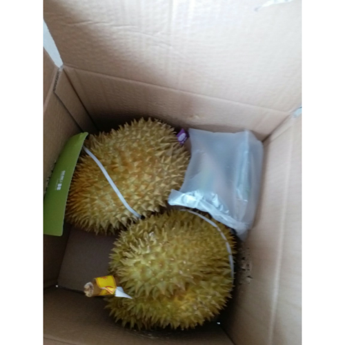 抵挡不住的诱惑 苏宁生鲜泰国金枕头榴莲，一口沦陷的热带风味